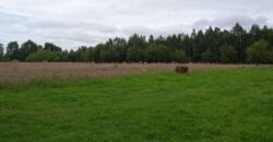 Działka * SPRZEDAŻ * Grochowe*Gm. Tuszów Narodowy