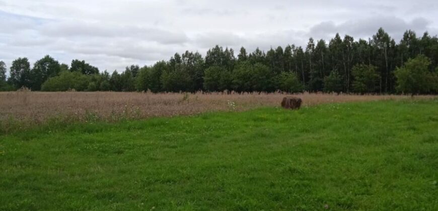 Działka * SPRZEDAŻ * Grochowe*Gm. Tuszów Narodowy