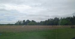 Działka * SPRZEDAŻ * Grochowe*Gm. Tuszów Narodowy