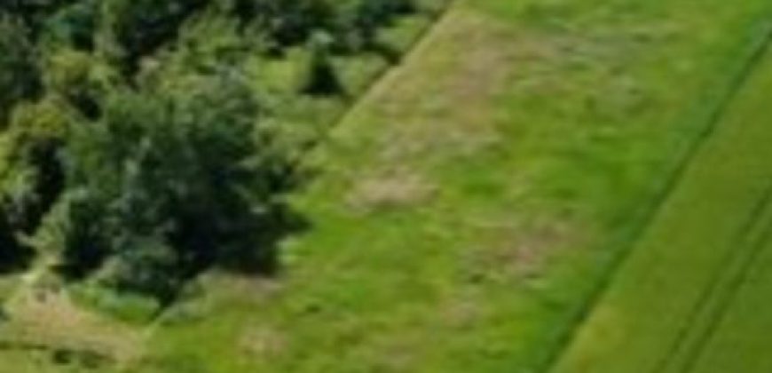 Działka Siedliskowa* SPRZEDAŻ * Wola Mielecka* gm. Mielec