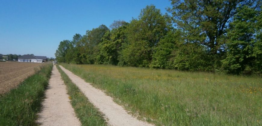 Działka budowlana * SPRZEDAŻ * Mielec* osiedle Wojsław